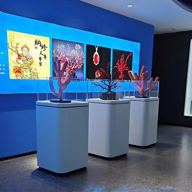 কাঠের ডিসপ্লে টেবিল